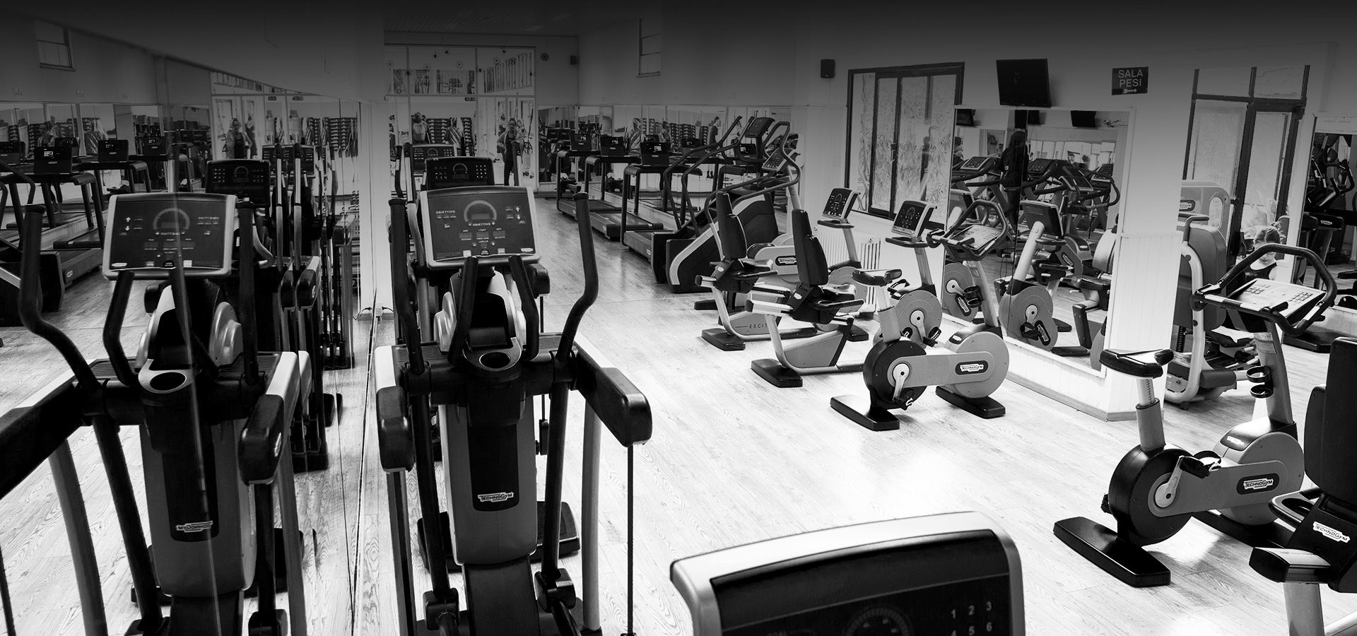 Palestra Ricciardi Firenze